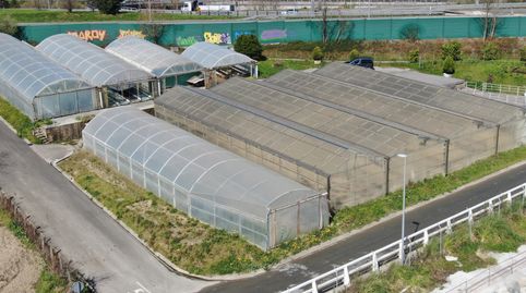 se vende terreno con invernaderos