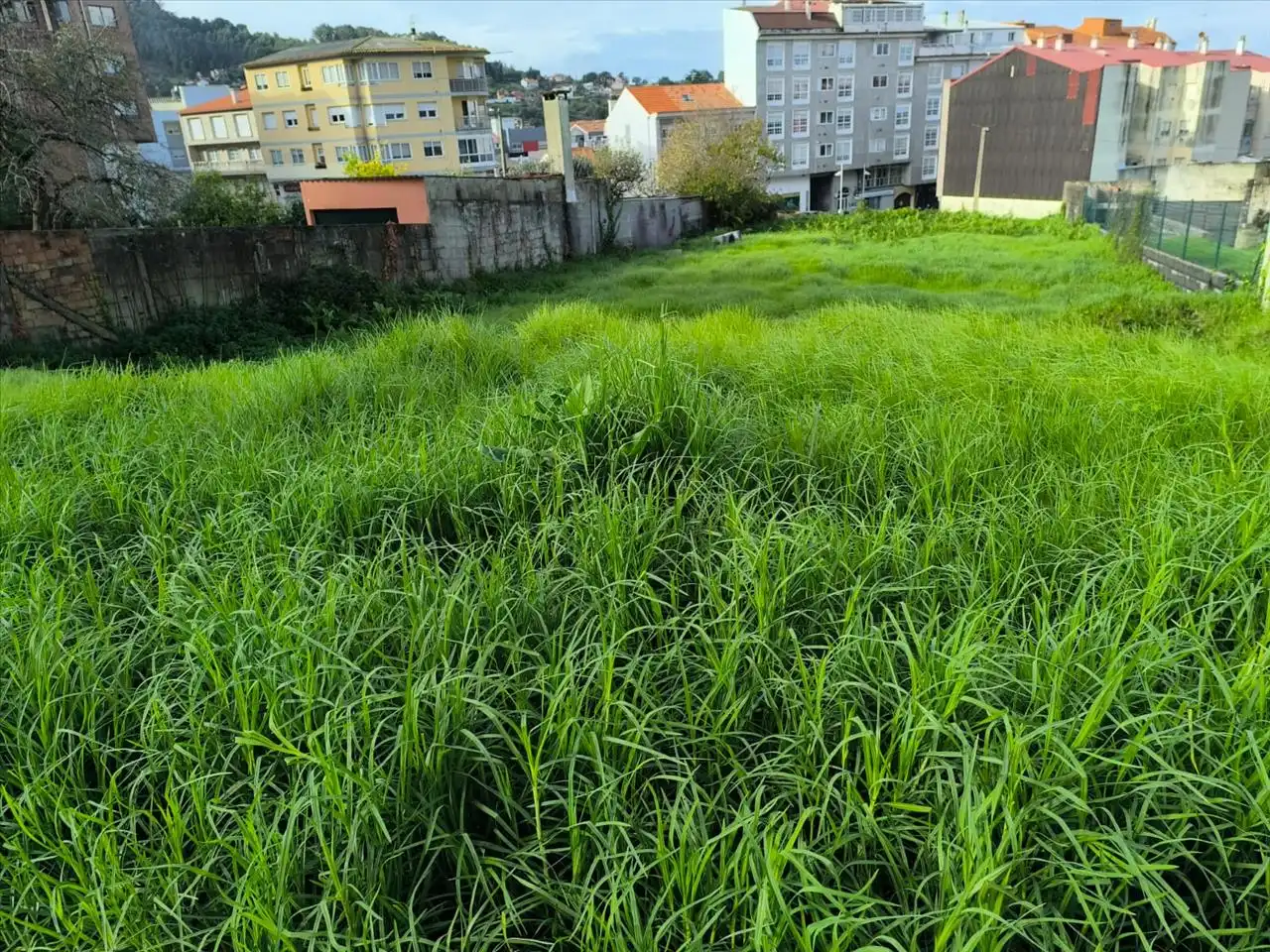 Terreni e lotti in vendita a BARCA, imagen 5