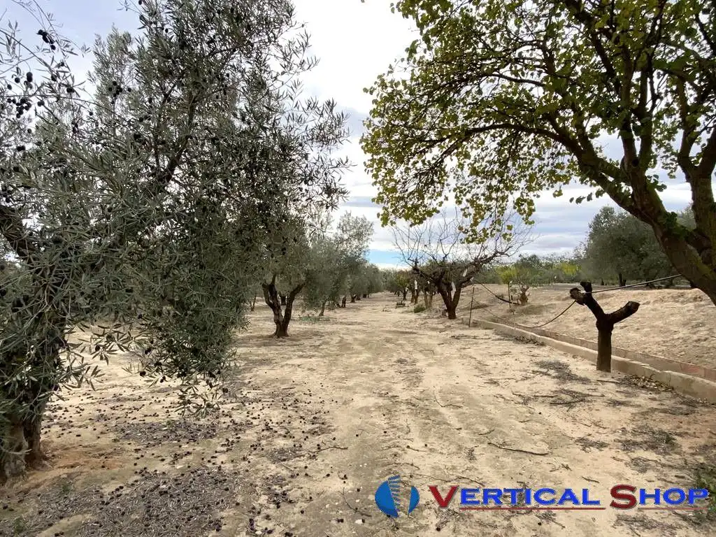 Casa o chalet en venta en Caudete