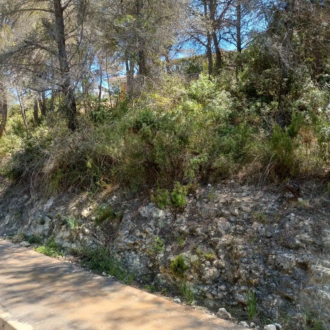 Residential zum Verkauf in Carrer de la Masia, 40, Mas Alba