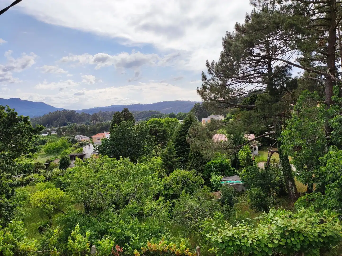 Villa avec jardin à vendre à Nabeiras, imagen 32