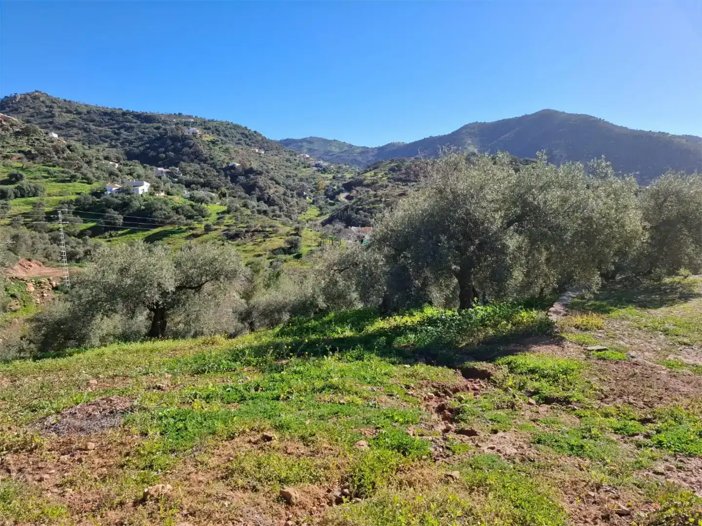 Finca rústica en venda en Almogía