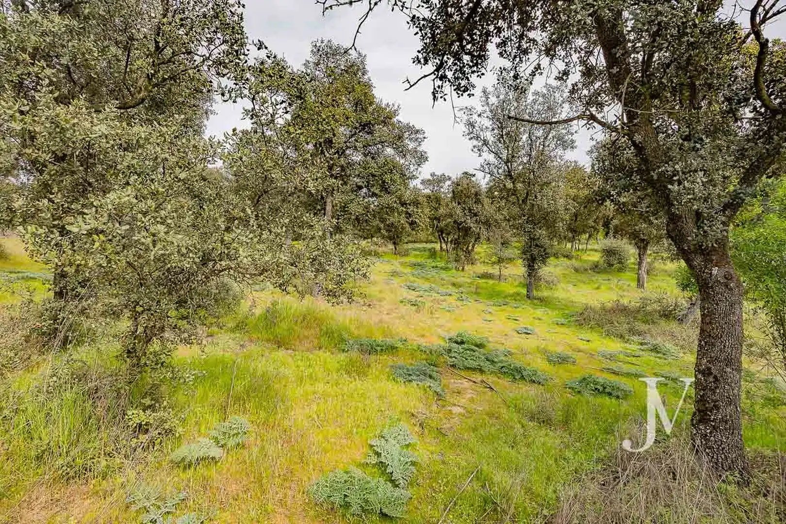 Casa o xalet de lloguer en Madrid amb Aire condicionat, Calefacció i Jardí privat