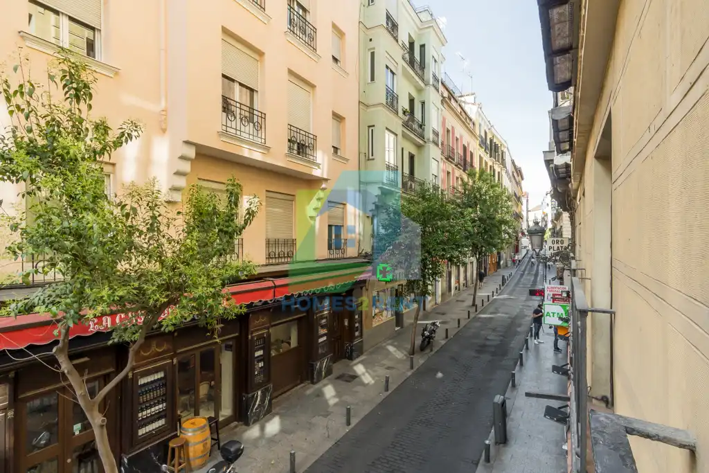 Appartement avec terrasse à louer à Calle de la Cruz 10, imagen 12