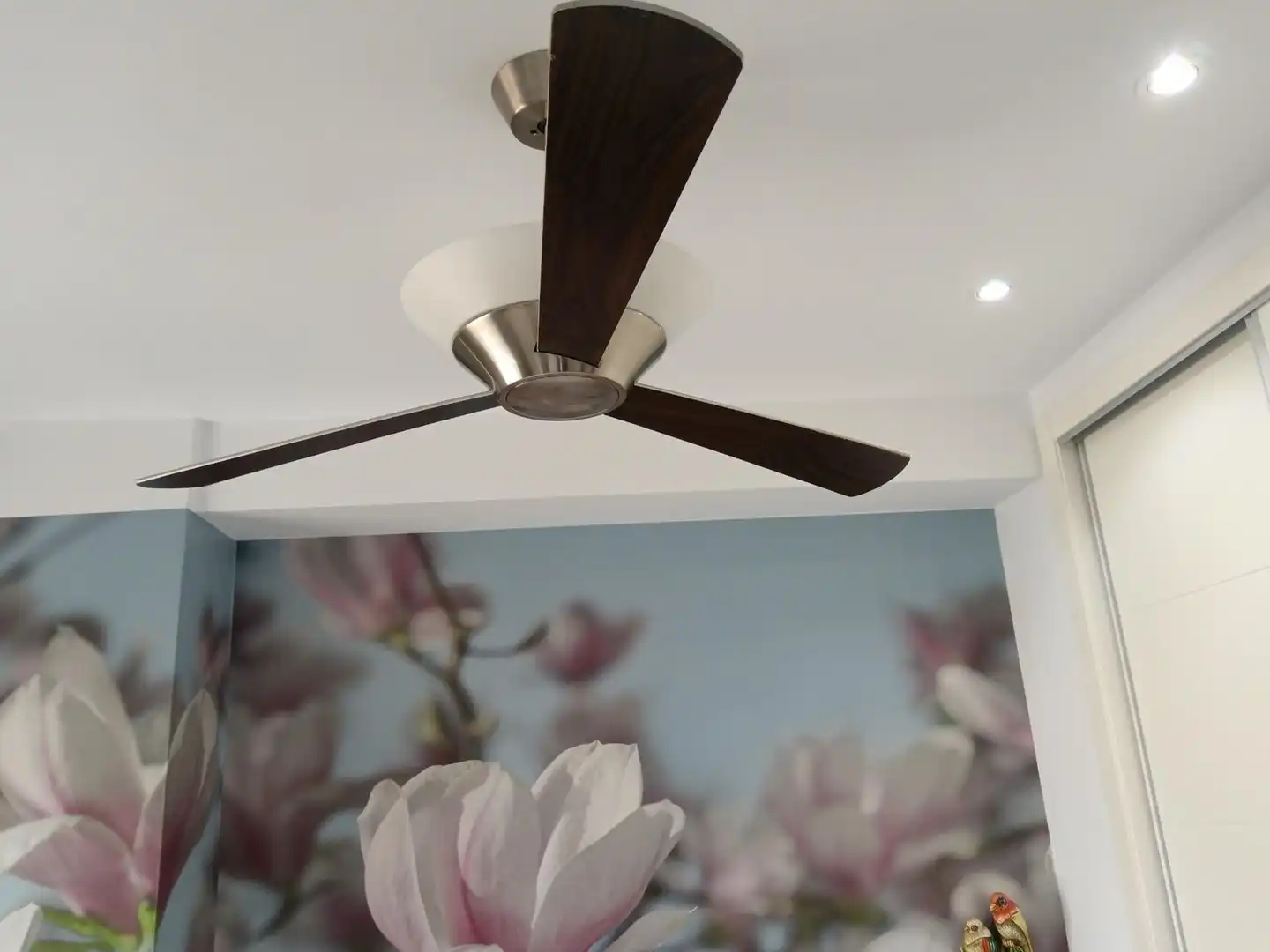 Exterior view of Flat for sale in Vera  with Furnished