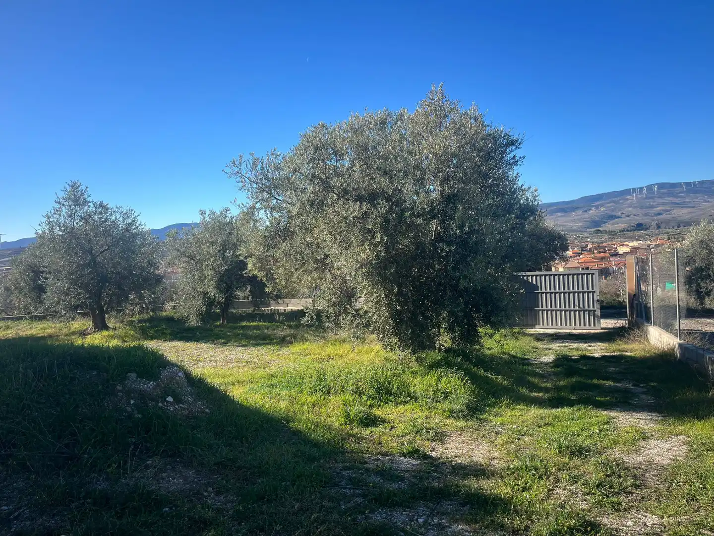 Rural land for sale in Calle Jose Saramago, imagen 4