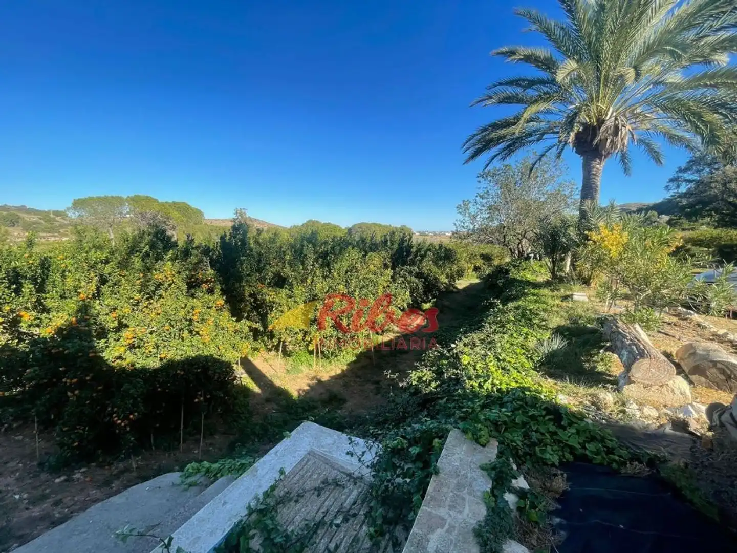 Vista exterior de Finca rústica en venta en Cullera con Aire acondicionado, Jardín privado y Terraza