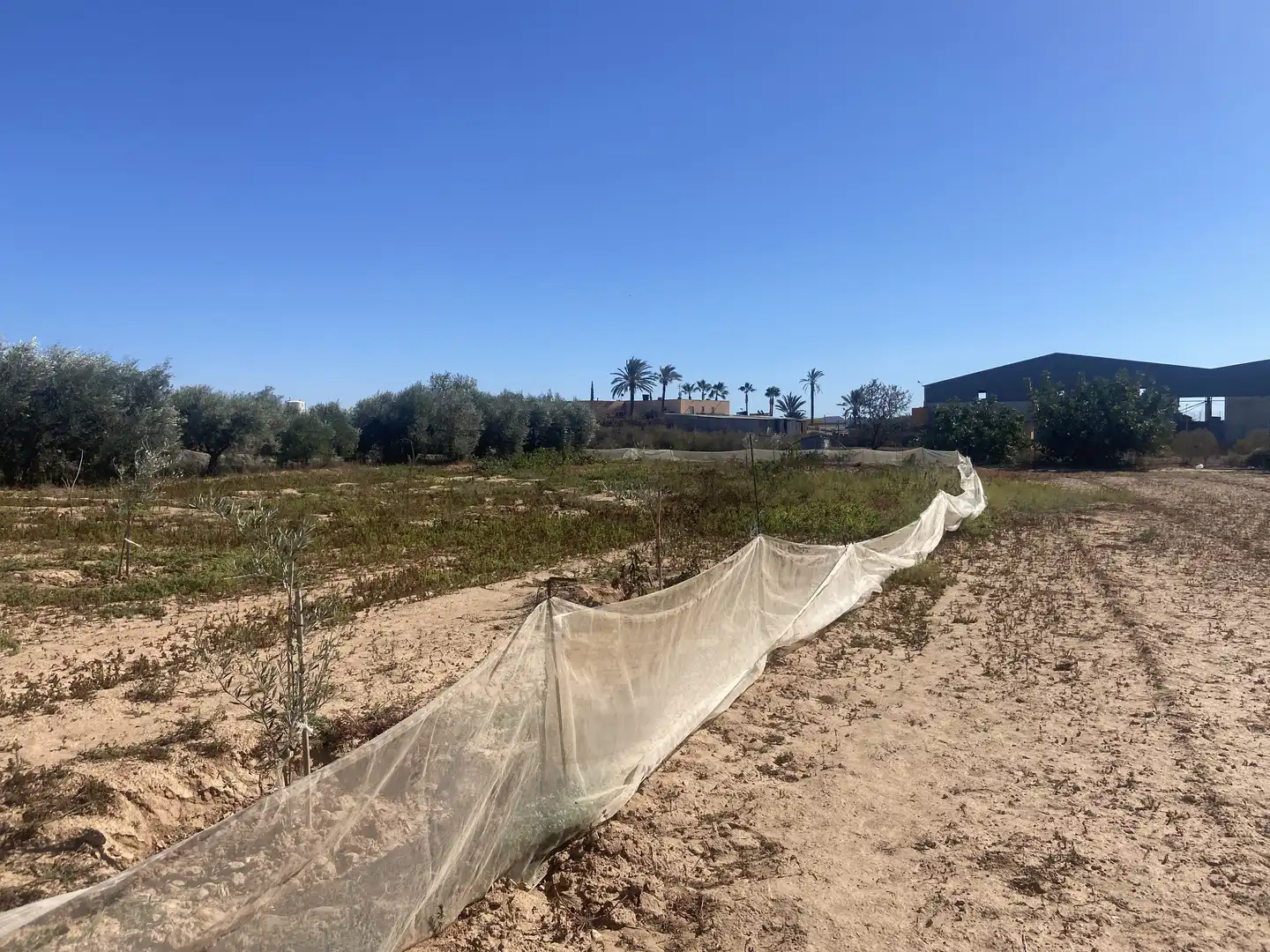 Land for sale in Cartagena