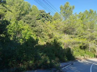 Terreno residenziale in vendita a Carrer de les Ciències