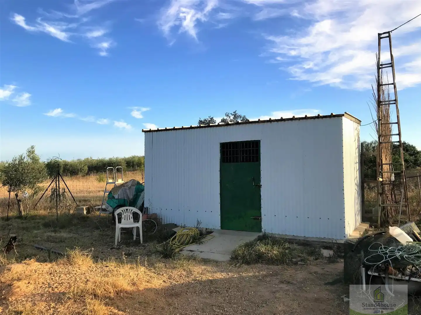 Vista exterior de Finca rústica en venta en Rociana del Condado