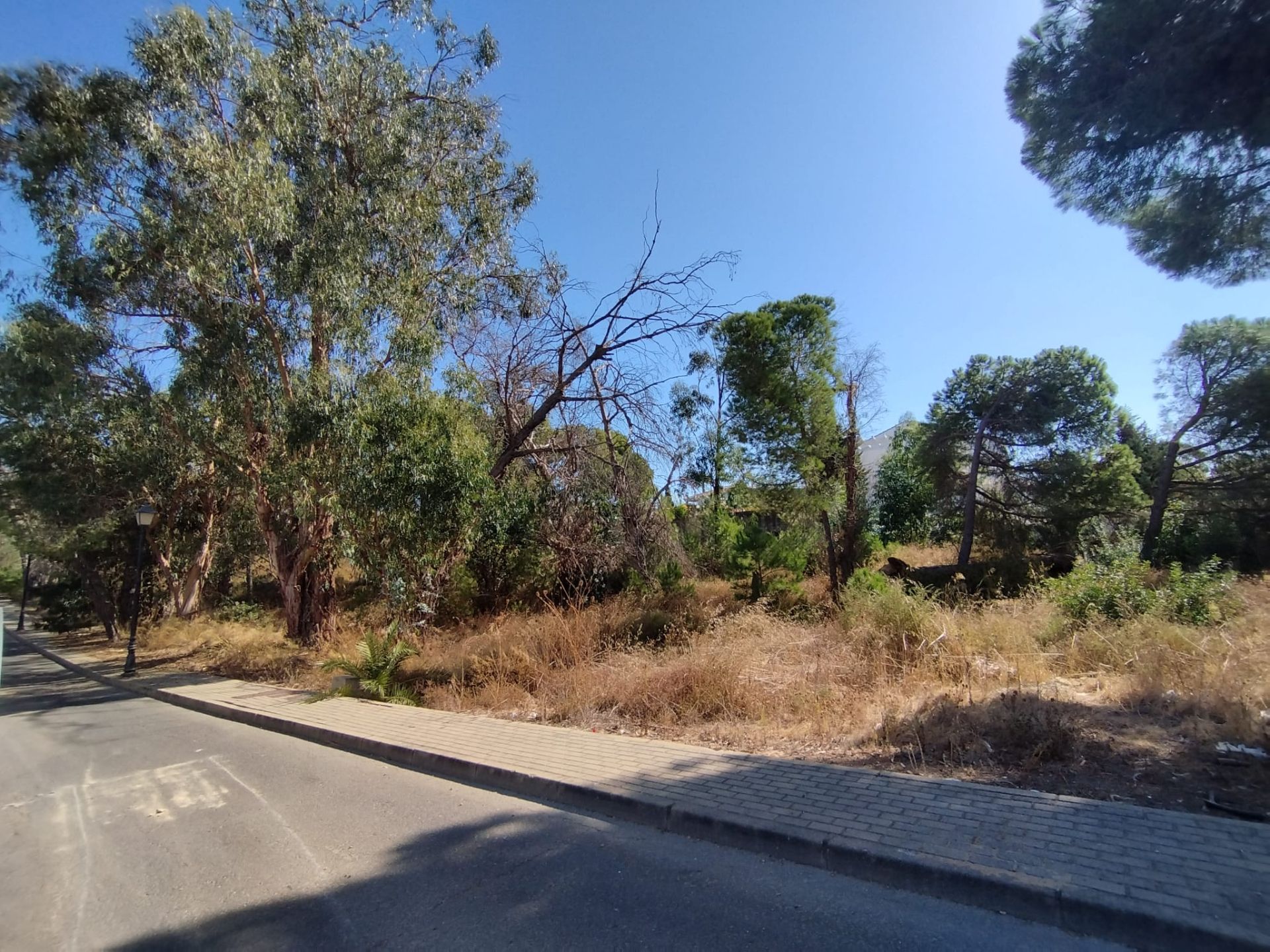 Residencial en venda a Calle Malva, 118