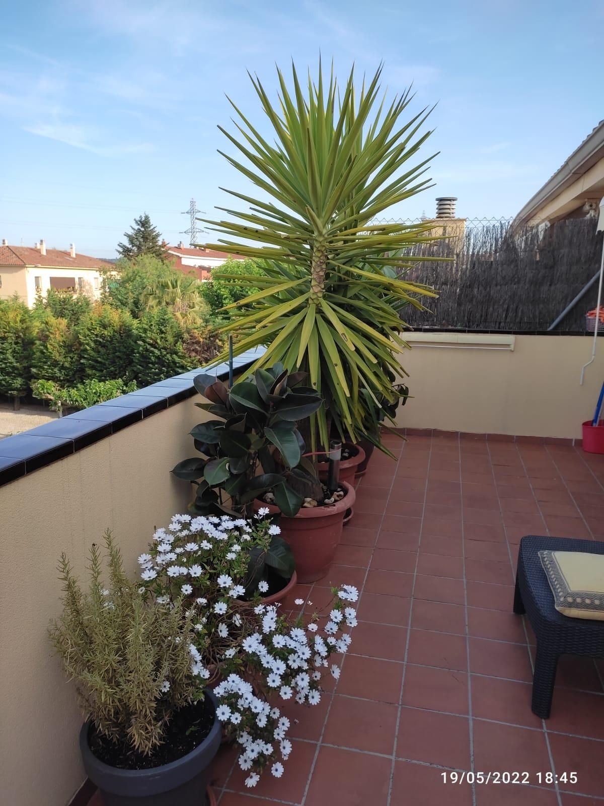 Terrassa de Àtic en venda en Rubí amb Calefacció, Terrassa i Piscina comunitària