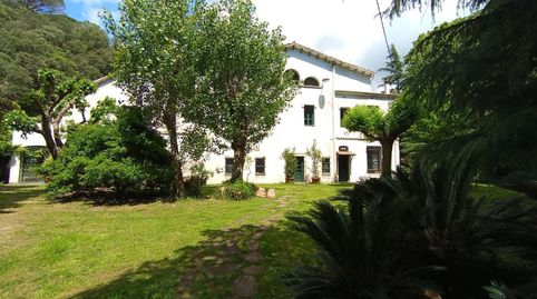 Foto 3 de Finca rústica en venda a Camino de Sant Cebrià de Vallalta, Sant Cebrià de Vallalta, Barcelona