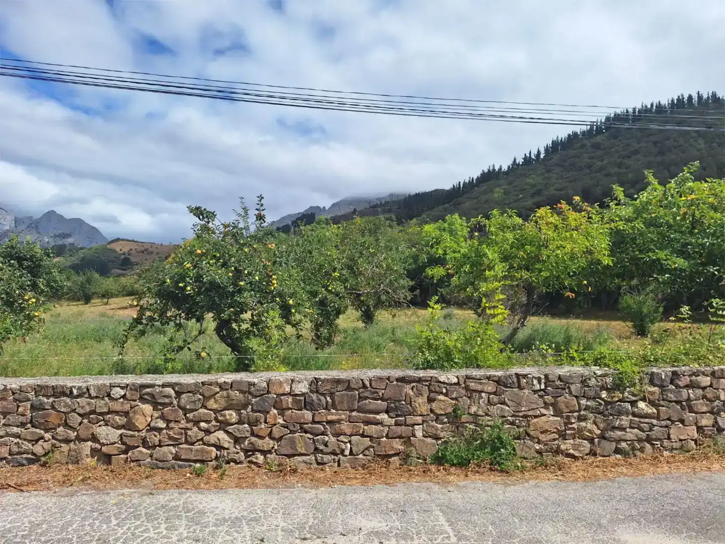 Residencial en venta en Cillorigo de Liébana