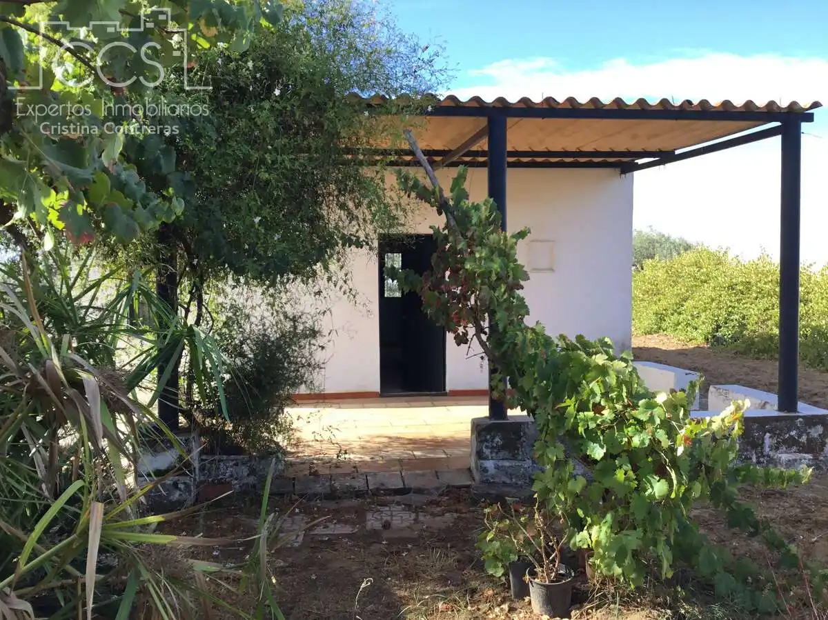 Country house for sale in Almonte ciudad, imagen 2