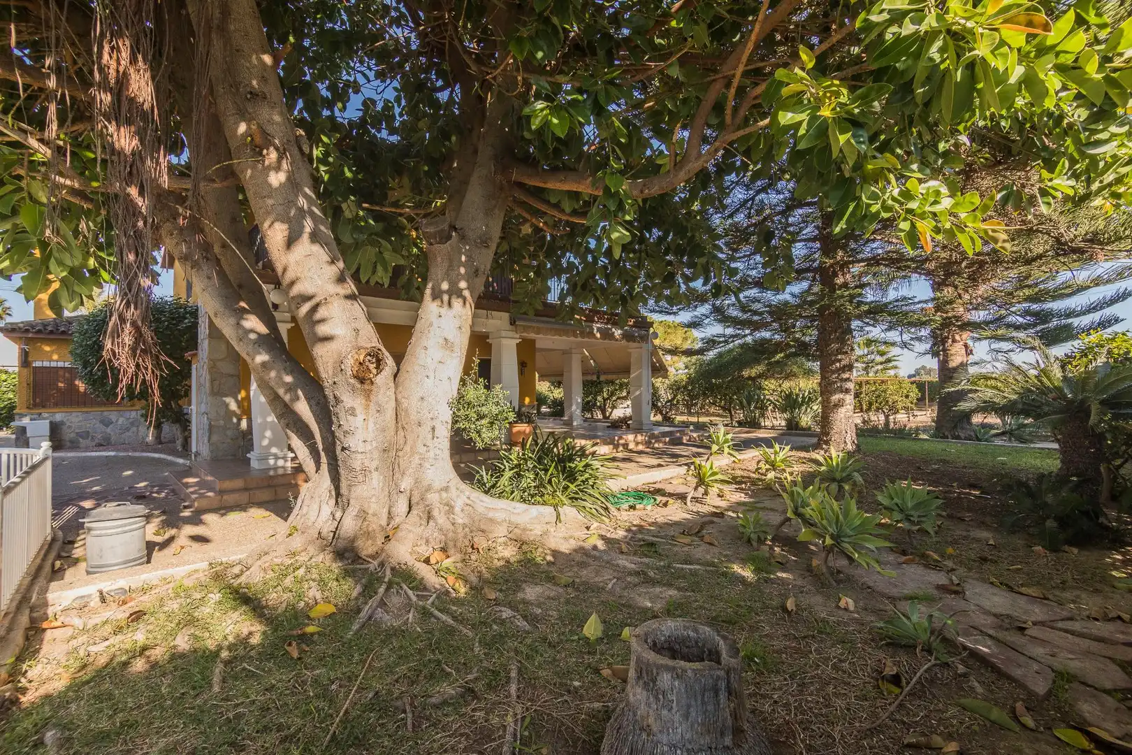 Garden of Houses for sale in Elche / Elx  with Private garden, Storage room and Swimming Pool