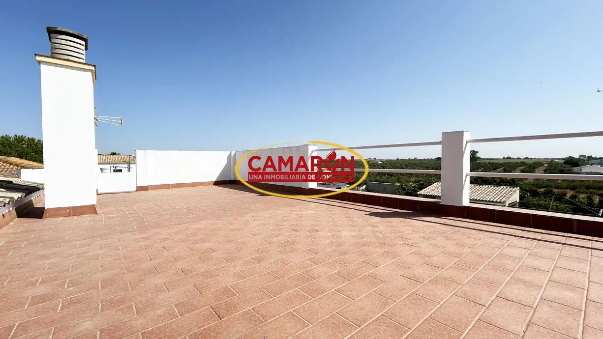 Terrassa de Finca rústica en venda en La Puebla del Río amb Piscina