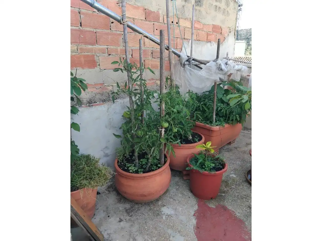 Casa amb jardí en venda a Montserrat, imagen 21