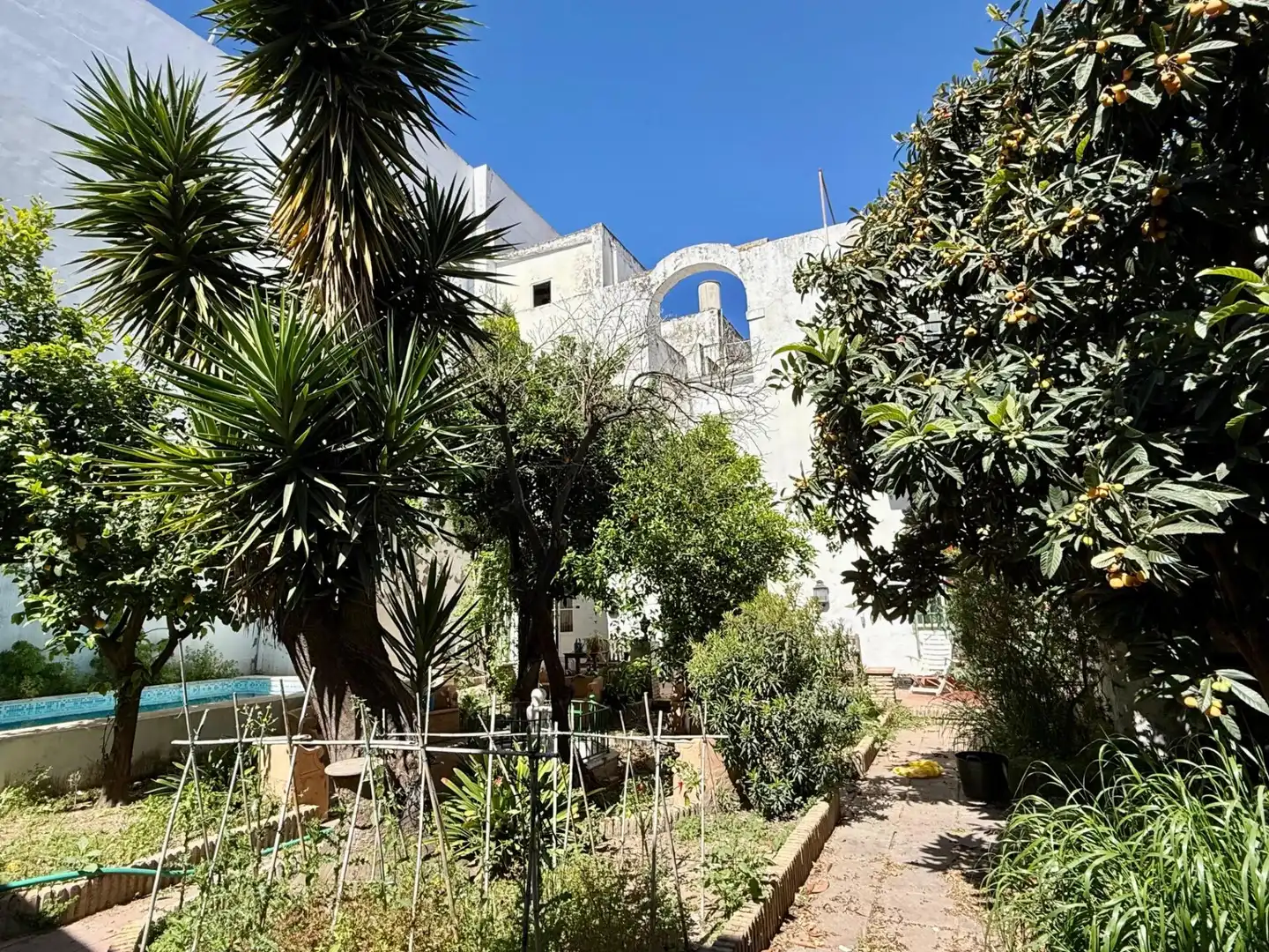 Jardí de Casa o xalet en venda en El Puerto de Santa María amb Traster i Piscina