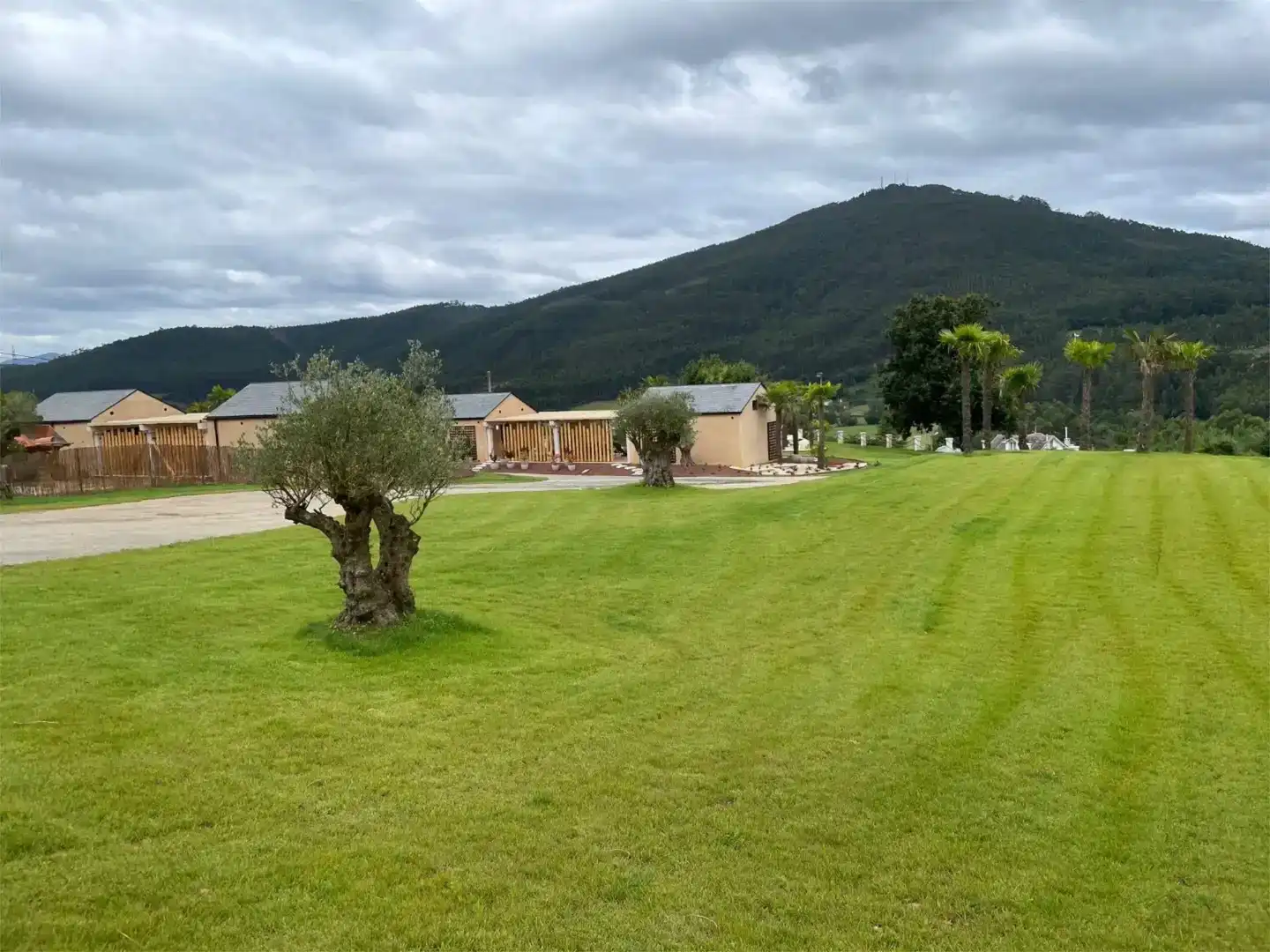 Jardí de Casa adosada en venda en Barreiros