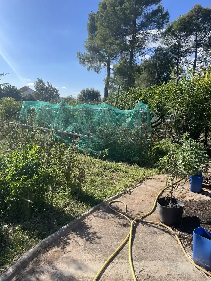 Casa o xalet en venda en Castellnou de Bages amb Piscina i Balcó