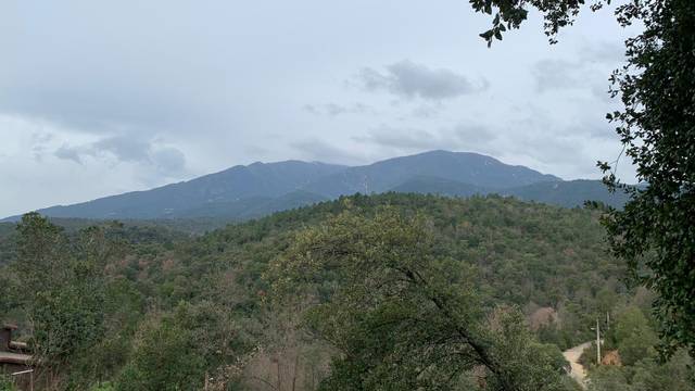 Terreno residencial en Venta en Riells i Viabrea