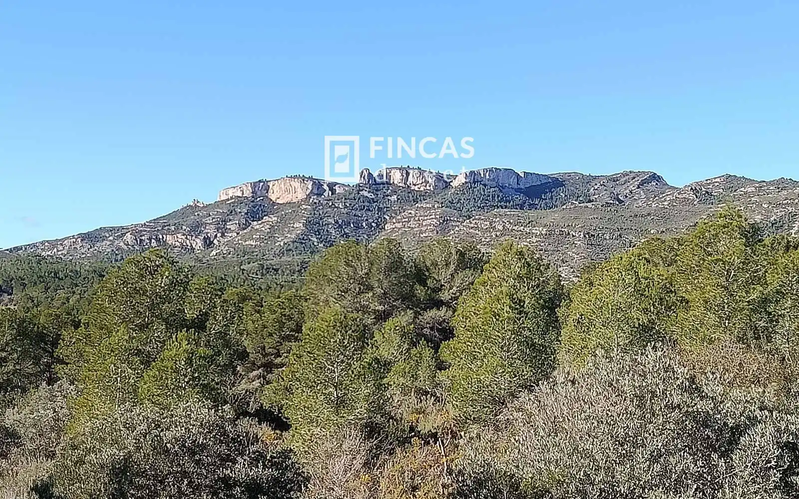 Finca rústica en venta en Miravet