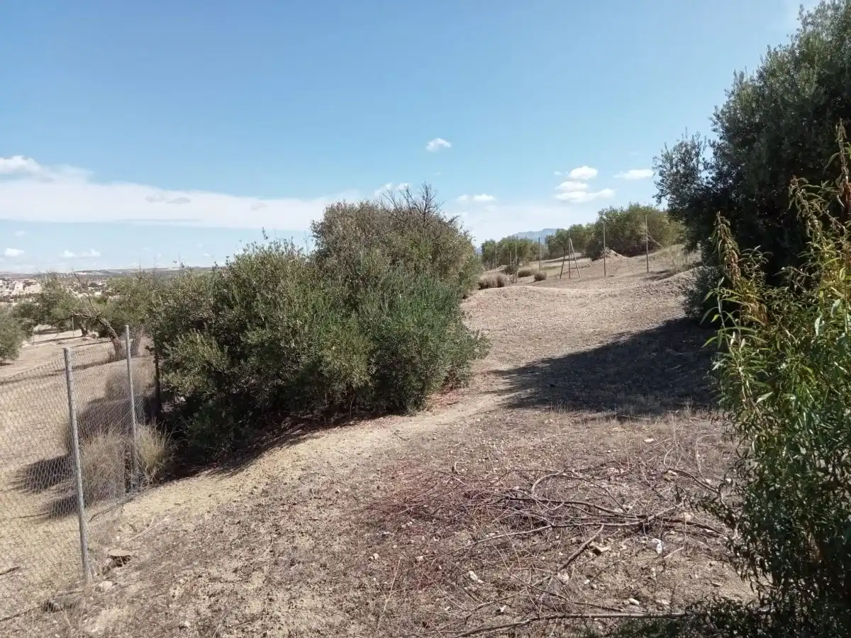 Terreni e lotti in vendita a La Guardia de Jaén, imagen 2