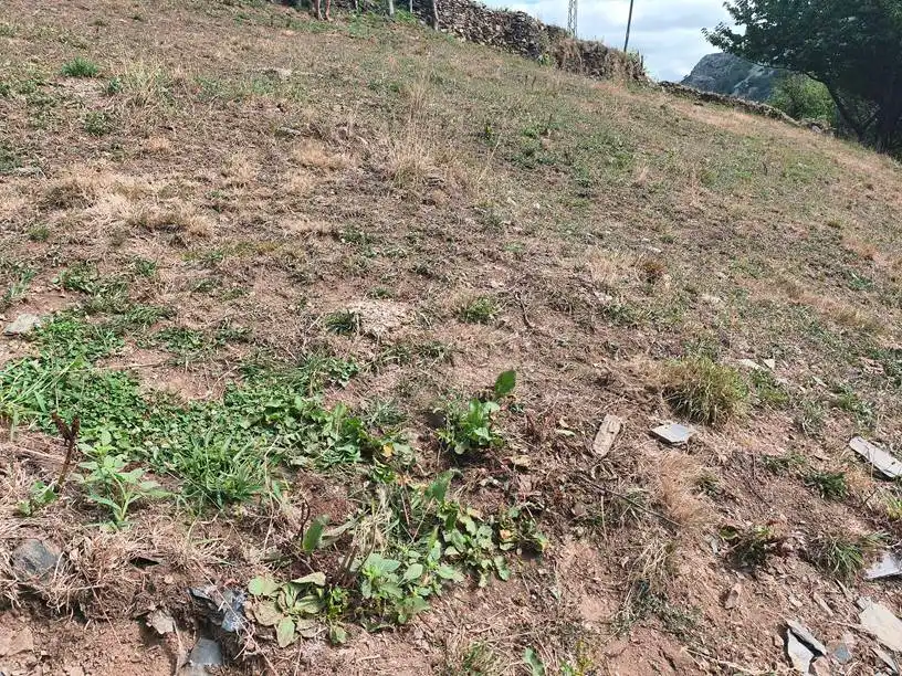 Casa o chalet en venta en Allande con Amueblado
