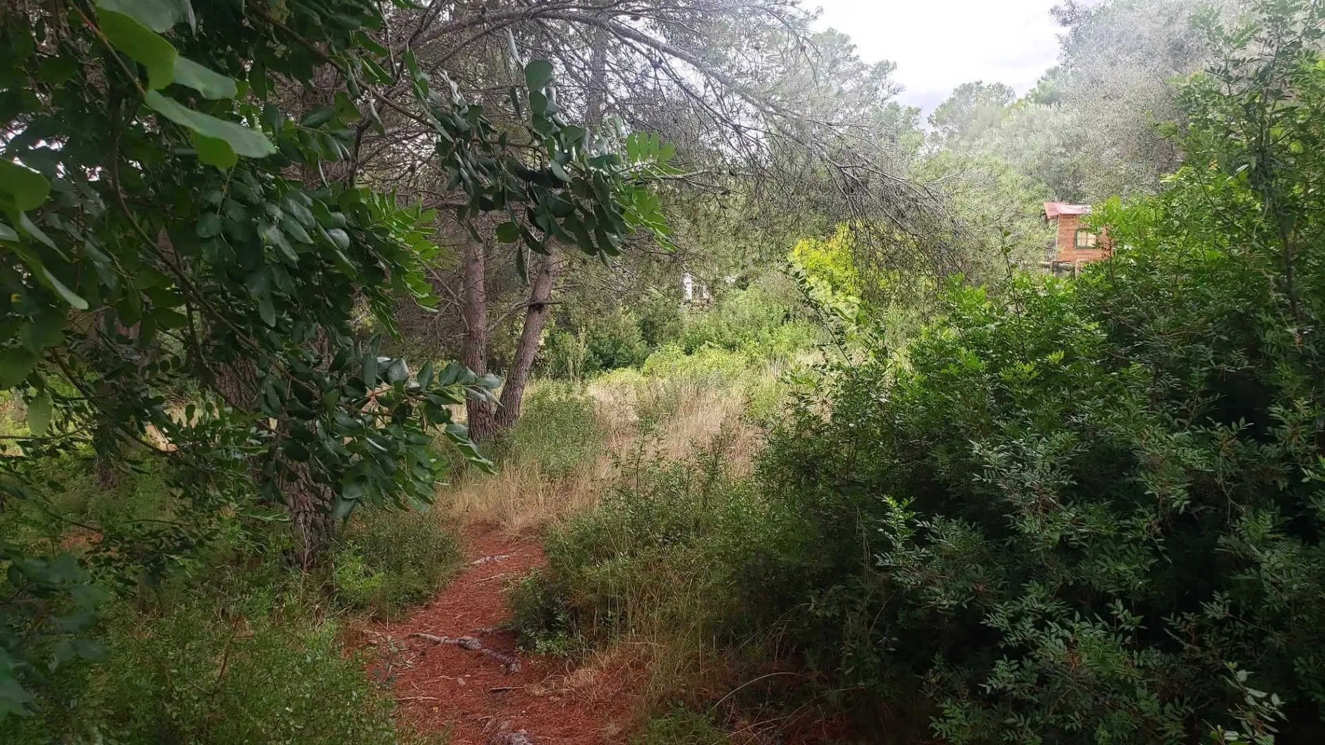 Residential land for sale in Calle dels Almogavers 6, imagen 14