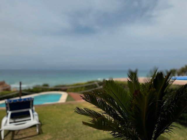 Garden of House or chalet for sale in Conil de la Frontera  with Air Conditioner, Private garden and Terrace