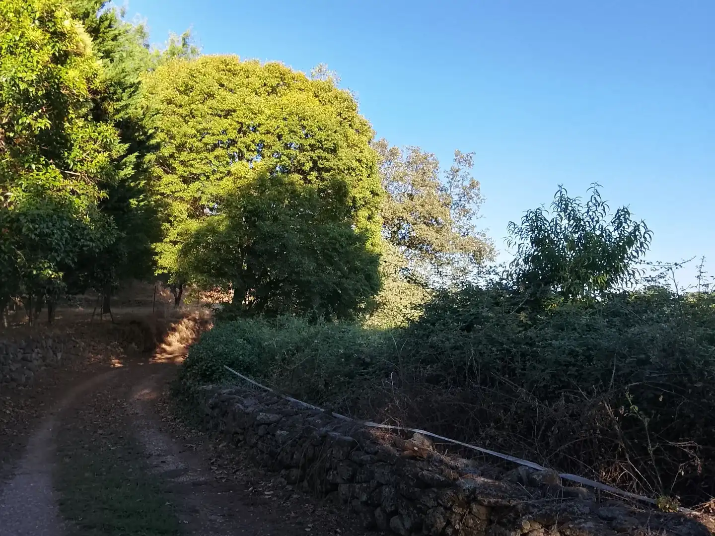 Terreni e lotti in vendita a Villanueva de la Vera, imagen 13