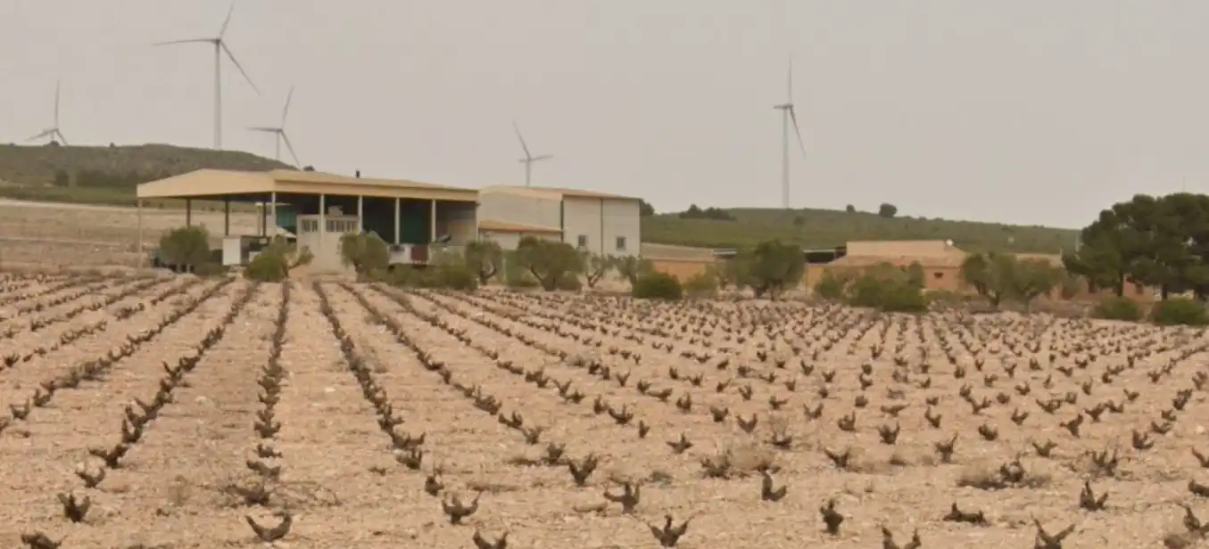 Exterior view of Country homes for sale in Jumilla  with Furnished