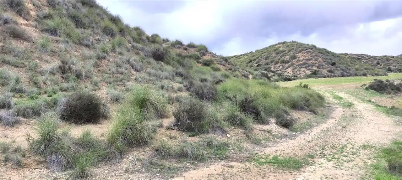 Residencial en venda en Lorca