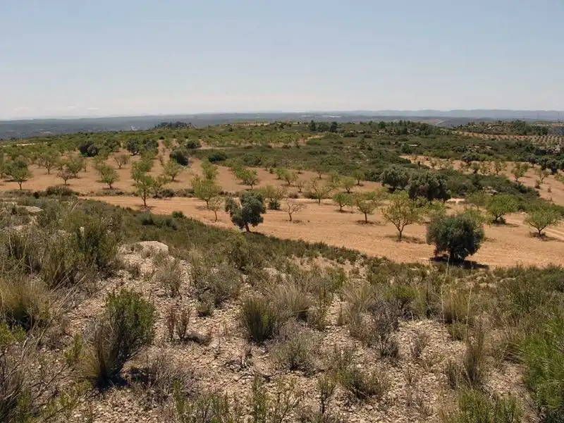 Finca rústica en venta en Alcañiz