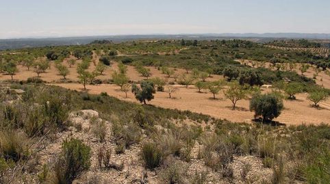 Foto 5 de Finca rústica en venta en Alcañiz, Teruel