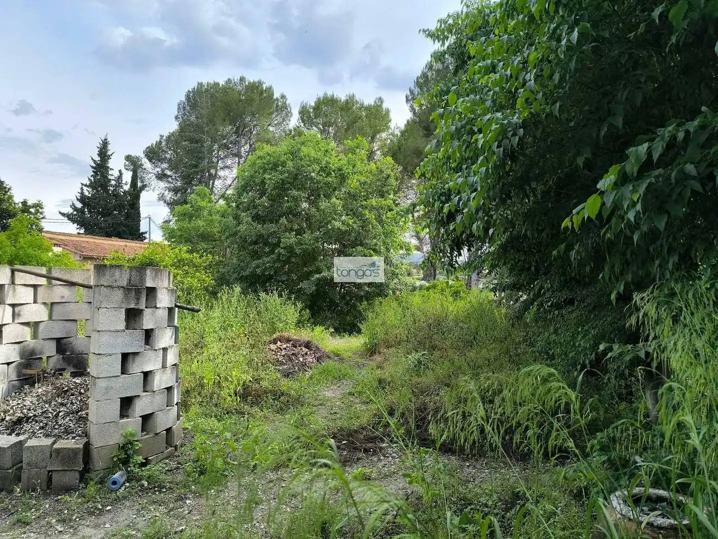 Chalet con piscina en venta en Xàtiva, imagen 12