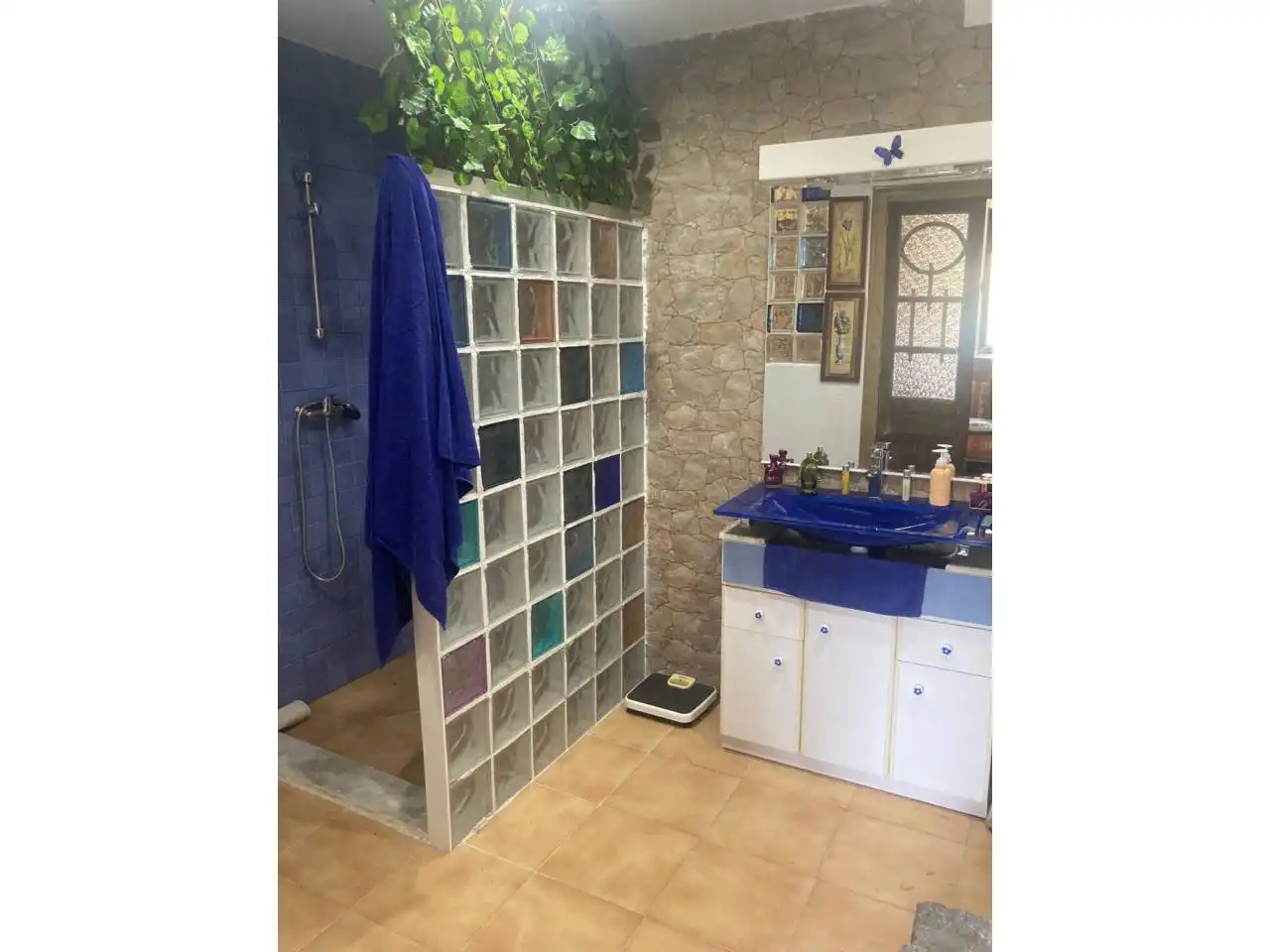 Casa rústica amb jardí en venda a Riego de la Vega, imagen 29