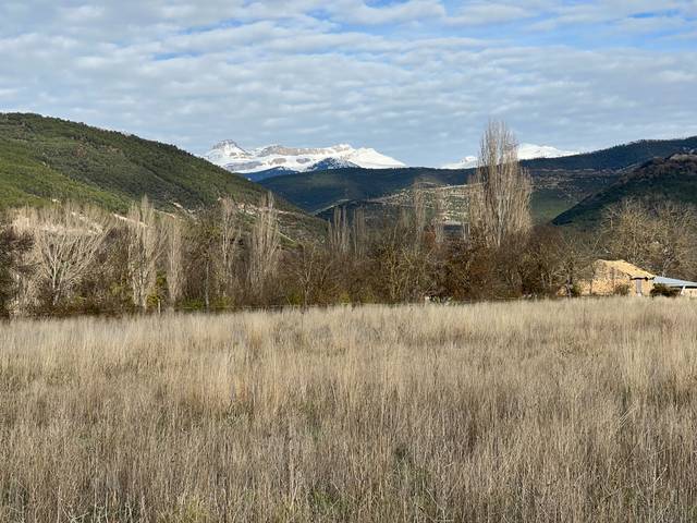 Terreno en Venta en Calle Luis Serra en Llano de la Victoria