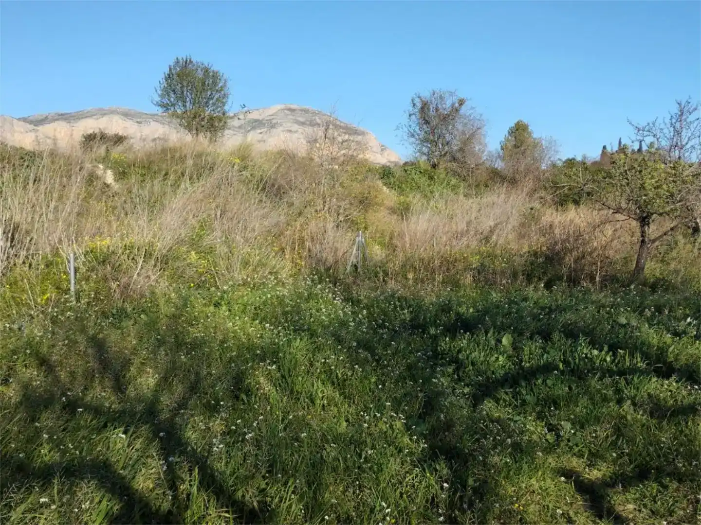 Land for sale in Gata de Gorgos, Alicante