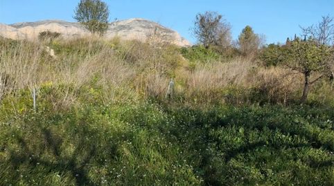 Foto 2 de Terreno en venta en De Gaia, 3, Gata de Gorgos, Alicante