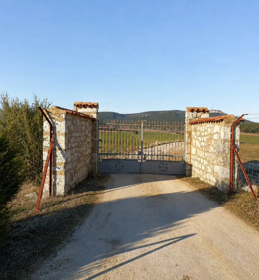 Casa o xalet en venda en Ciruelos de Cervera