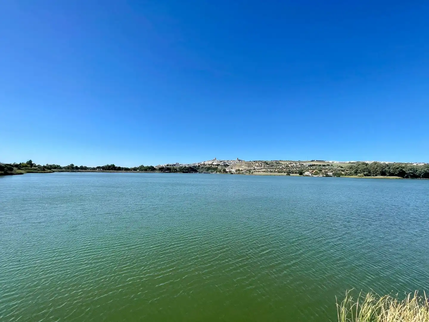 Vista exterior de Casa o xalet en venda en Arcos de la Frontera amb Aire condicionat, Jardí privat i Terrassa