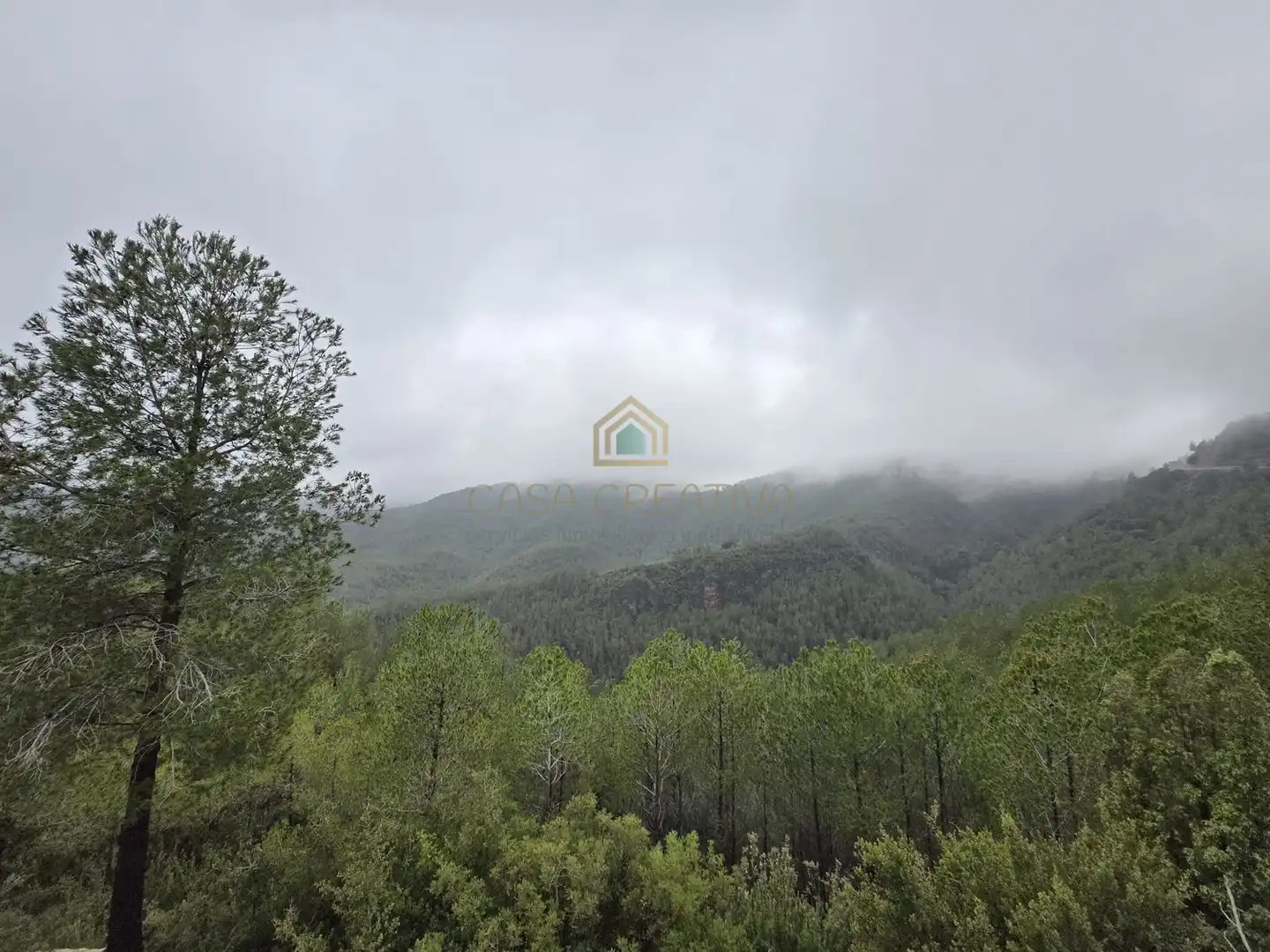 Casa o chalet en venta en Torralba del Pinar
