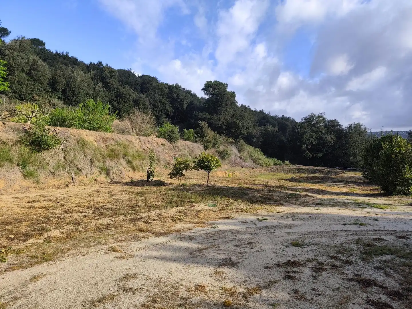 Terrain rustique à vendre à Dosrius poble, imagen 10