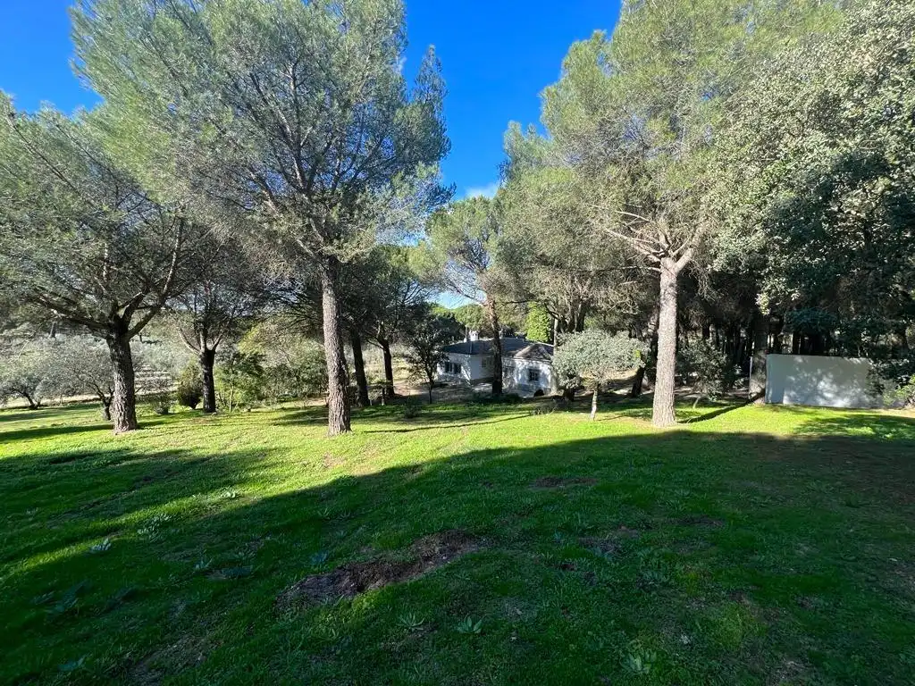 Casa rústica en venda a Andújar, imagen 3