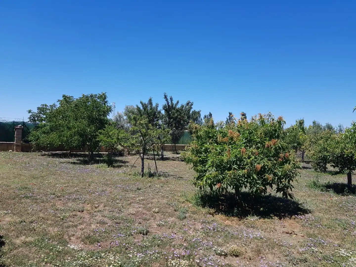 Casa o chalet en venta en Aldehuela de Yeltes