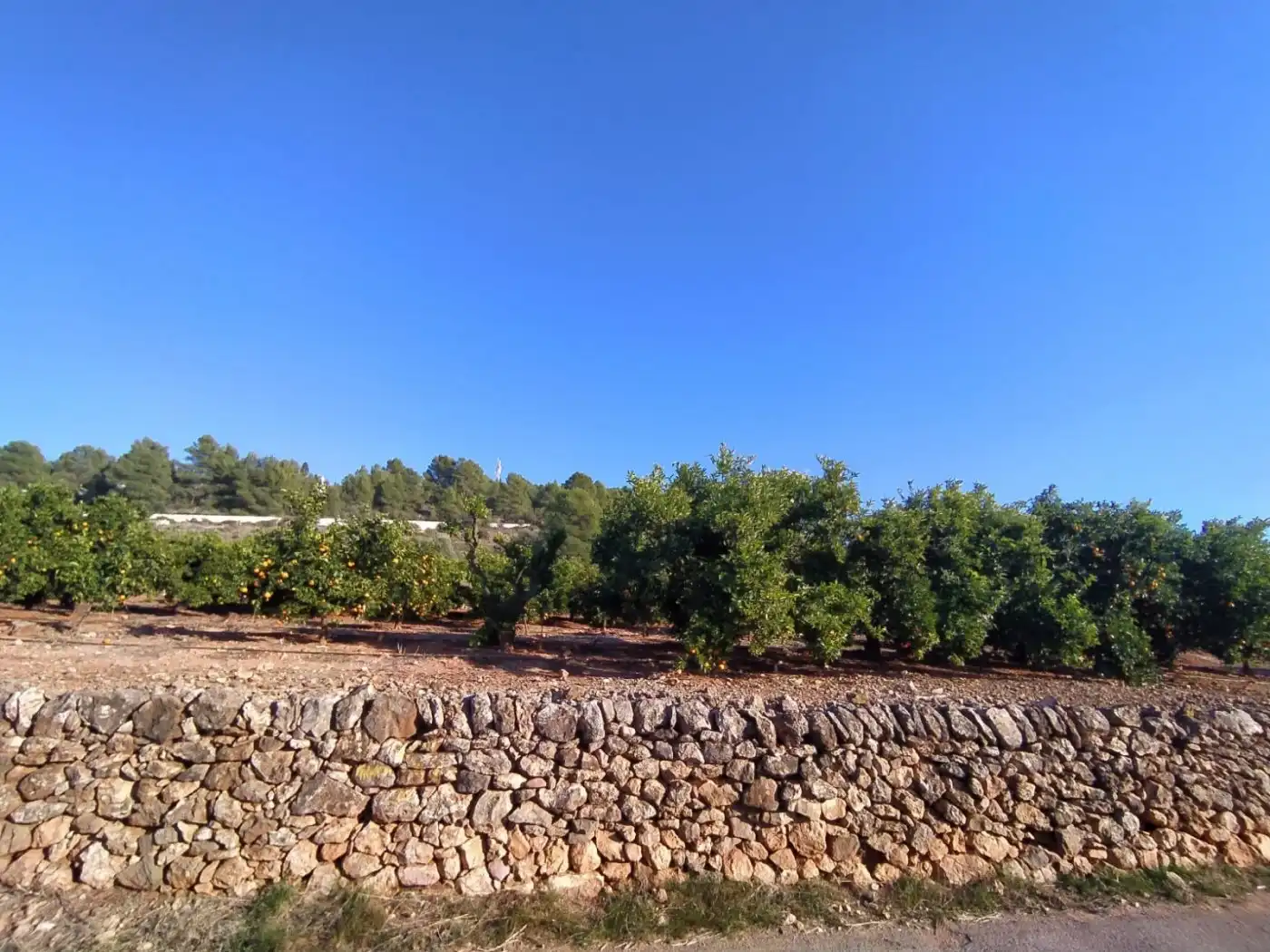 Terreno residencial en venta en Onda, imagen 6