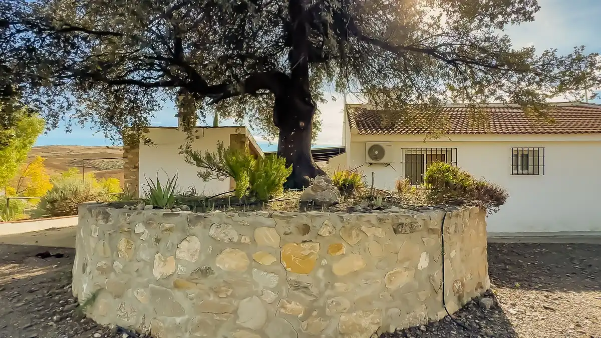 Vista exterior de Finca rústica en venta en Villanueva de la Concepción con Jardín privado, Terraza y Trastero