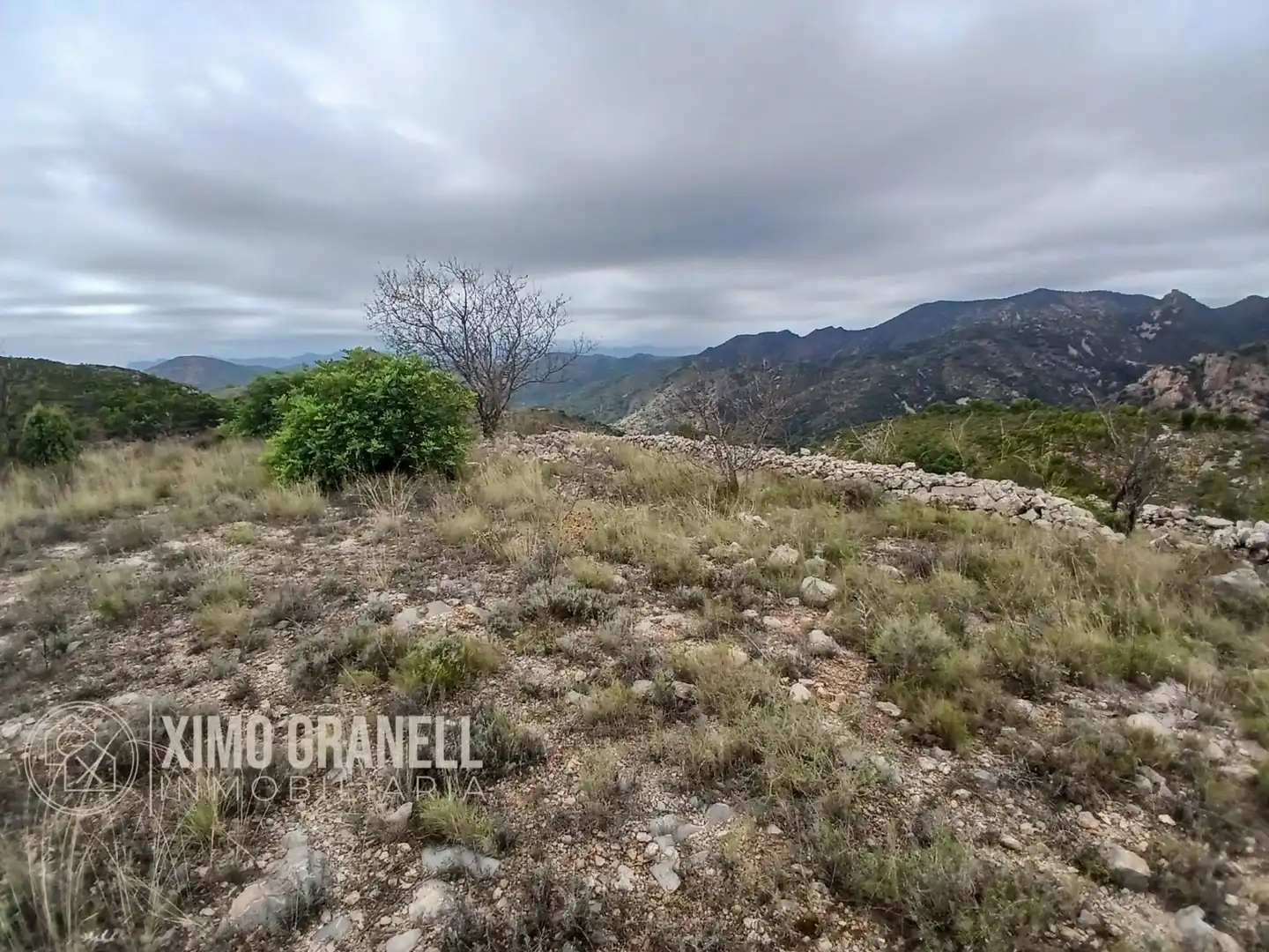 Terreny rústic en venda a La Vall d'Uixó, imagen 10